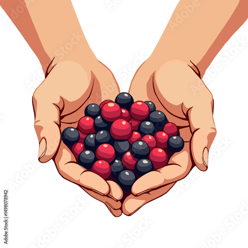 Hands Holding Pile of Red and Black Berries, Healthy Eating Concept, Vector Illustration Isolated on White Background