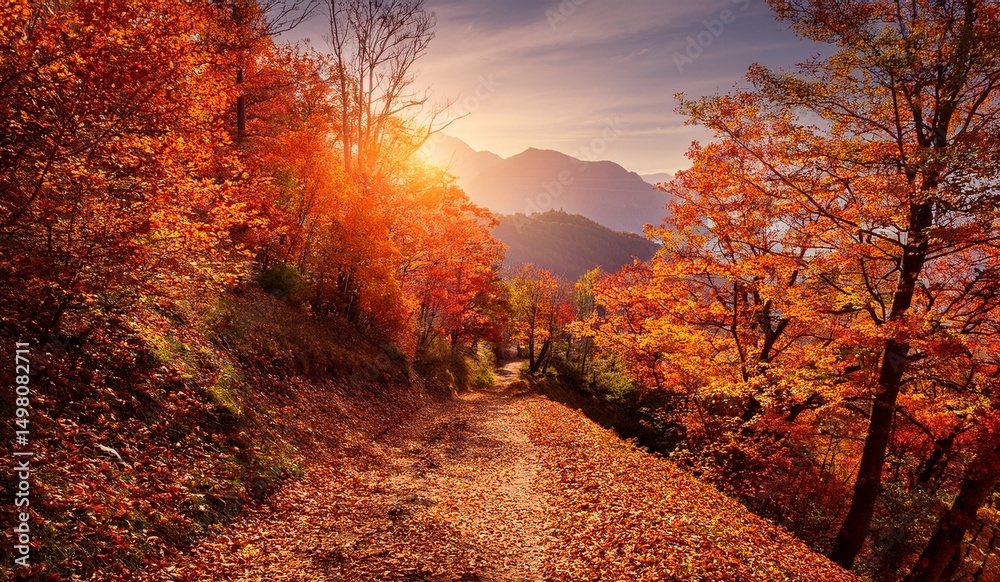Fototapeta premium Majestic Autumn Forest Path Sunlit Trail Through Vibrant Fall Foliage