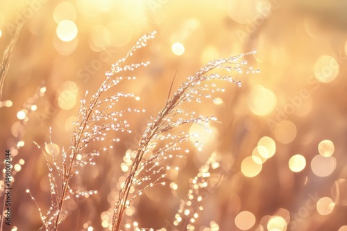 Dew-covered grass blades glisten under the warm morning sun in a serene meadow landscape, Dew-covered grass blades sparkling under morning sunlight with bokeh background