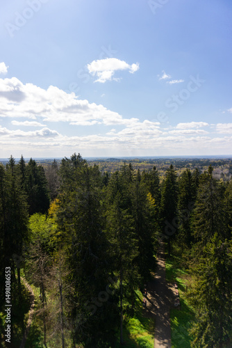 Peaceful countryside landscape with green hills, pine forest and blue sky with fluffy white clouds on a sunny spring day in Northern Europe