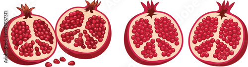 Pomegranate Vector Illustration Showing Whole Fruit and Cut Section with Juicy Red Seeds on Transparent Background for Food, Fruit, and Healthy Lifestyle Designs