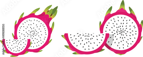 Exotic Dragon Fruit Vector Illustration with Pink Spiky Skin and White Flesh with Black Seeds on Transparent Background for Tropical Food and Health Designs