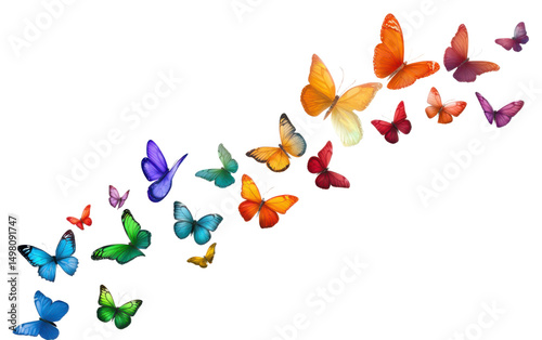 Colorful line of butterflies flying in the air