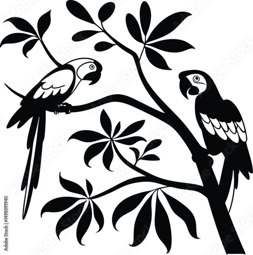vector illustration of a bird