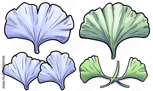 Ginkgo Biloba leaves illustration, botanical art,  white background, health supplement