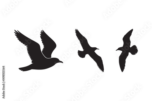 Flying Bird Silhouettes Vector Art Black Seagull Clipart on White Background