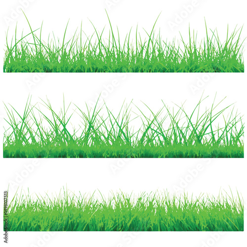 set of green grass vector