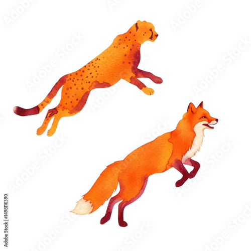 Watercolor drawing of a cheetah and a fox jumping on a white background