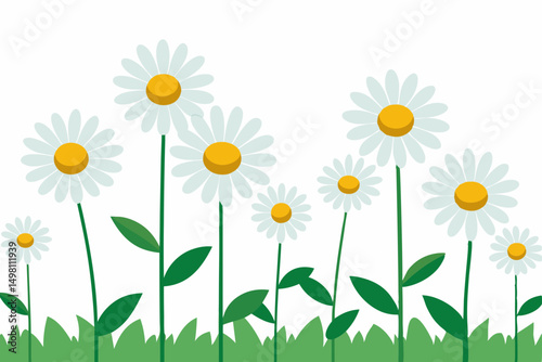 daisies on green background