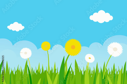 grass and daisies