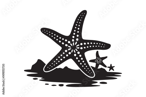 Starfish Silhouette Vector Beach Sea Animal Marine Life Illustration