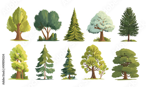 Flat style cartoon tree vector illustration, isolated oak, pine, Christmas tree, forest flora, meadow plants, agricultural garden, coniferous and deciduous tree nature environment.
