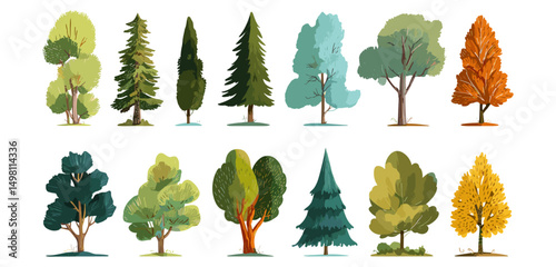 Cartoon tree vector illustration, simple flat forest flora, coniferous pine, deciduous oak, Christmas tree, isolated meadow plants, agricultural garden nature park landscape.