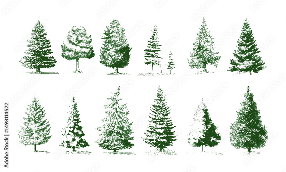 Obraz premium Vector illustration Christmas Trees pictogram set, white background, holiday symbols, winter festival graphics, pine tree icon collection, festive season design elements.
