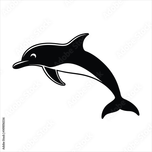 dolphin isolated on white background