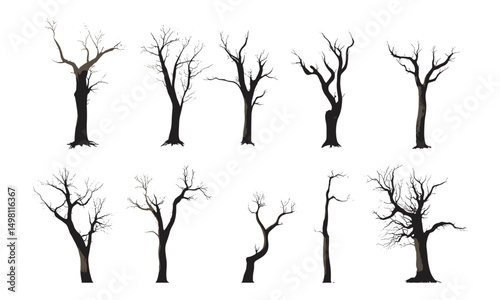 Isolated dead tree cutout collection, vector illustration perfect for design projects, leafless branches, natural decay, forest environment, wilderness elements, environmental concept