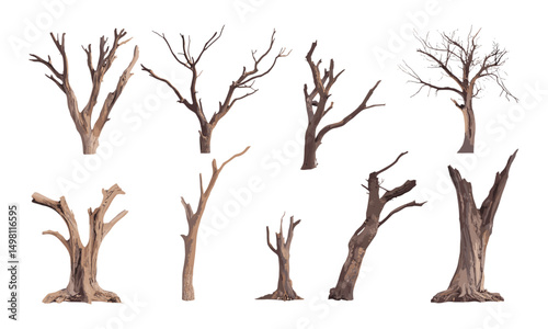 Dead tree isolated cutout collection, vector illustration for design use, bare tree silhouette, winter forest theme, natural wood texture, rustic landscape, seasonal foliage, organic shape.