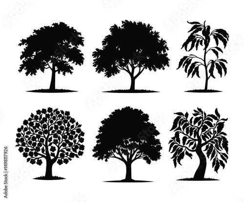 EPS Vector Template of a Peach Tree Silhouette