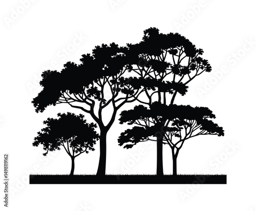 Teak Tree Silhouette Collection Vector Illustration