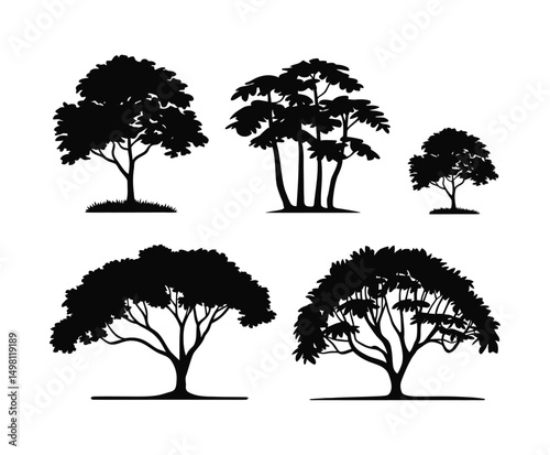 Teak Tree EPS Vector Silhouette Template Set