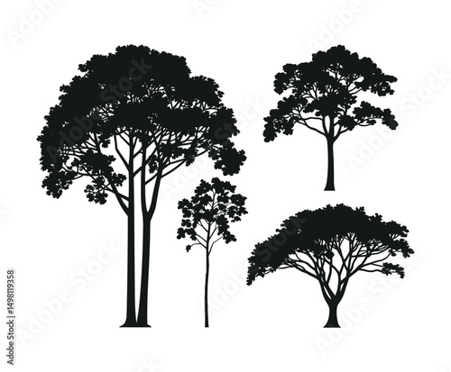 Teak Tree Silhouette Isolated Vector Illustration Template