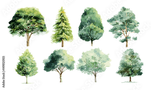 Watercolor green tree collection, cutout, hand painted foliage, nature clip art, vector illustration, forest leaves, tree pack, tree artwork, tree graphics, woodland flora.
