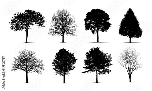 Nature tree silhouettes collection, vector illustration, black forest icons, plant foliage set, cutout woodland trees, greenery landscape elements, eco concept trees, natural drawing art.