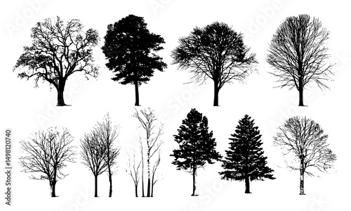 Silhouette tree collection, vector illustration, isolated forest plants, nature group design, foliage artwork, landscape trees icon, cutout tree pack, wild flora graphics, leafy elements.