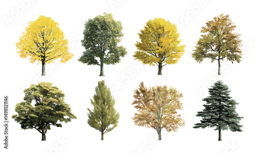 Vector illustration, nature objects collection, maple, oak, chestnut, birch, tree silhouettes, forest canopy design, seasonal flora shapes, ecological landscape vector art.