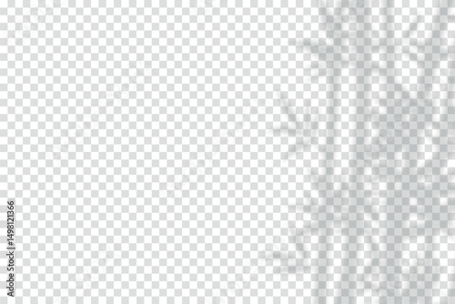 Bamboo Shadow Overlay Vector. Realistic Bamboo Shadow Overlay Effect. Elegant Bamboo Shadow Overlay Vector Illustration for Nature, Zen, Spa, Botanical, Poster, Web, Mockup, Minimal Design