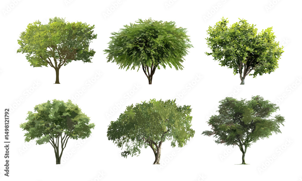 Fototapeta premium Isolated green tree collection on white background, vector illustration, tropical leaves design, botanical art, natural foliage, garden plants, eco landscape, outdoor vegetation elements.