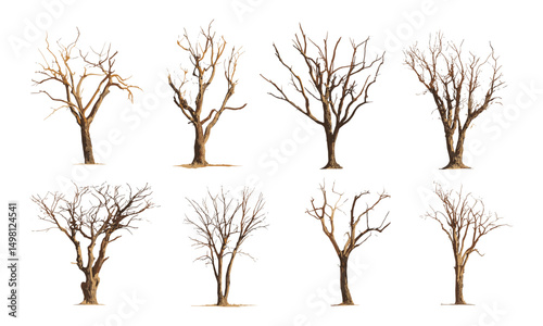 Dead tree isolated on white background, dry wood pile, vector illustration, forest deterioration, wilderness scene, ecological impact, tree bark texture, natural elements.