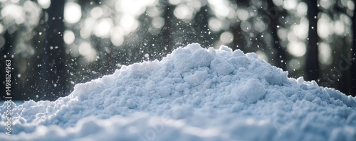 Winter Wonderland: A Snowy Scene