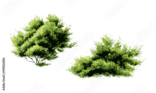 Vector illustration of watercolor tree top view, green grass isolated on white background, landscape architecture layout, garden design elements, eco-friendly scenery.
