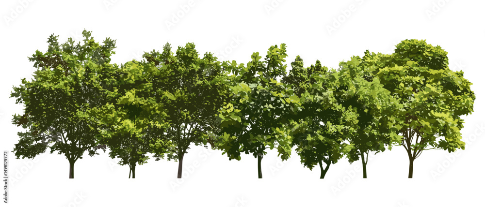 Forest green trees summer foliage, isolated vector illustration, cutout, nature background, woodland scenery, eco-friendly theme, natural environment, outdoor greenery.