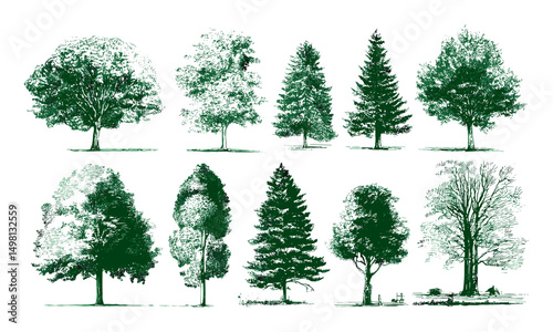 Vector illustration of green tree silhouettes, isolated hand drawn trees, forest outlines, natural landscape icons, eco friendly design elements, woodland shapes, botanical graphics.