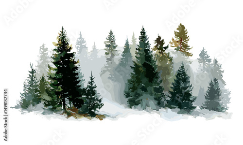 Winter coniferous forest vector illustration, hand drawn spruce and pine trees, snowy rural landscape, holiday Christmas design, outdoor nature, fir trees covered in snow.