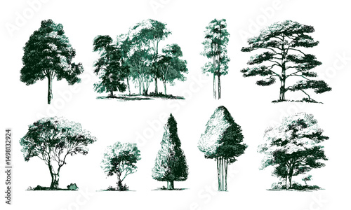 Green tree silhouettes isolated set, vector illustration, hand drawn forest foliage, natural plant icons, outdoor scenery elements, woodland vector art, environmental design graphics.
