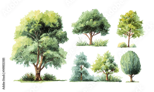 Hand drawn watercolor vector illustration of green tree with brown trunk, spring bush, forest grass, painted woodland, ecology, biology landscape, png, climate change concept.