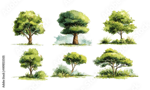 Watercolor vector illustration set of summer forest tree, green foliage, brown trunk, spring bush, grassland, eco concept, nature background, png, biodiversity, environment, flora.