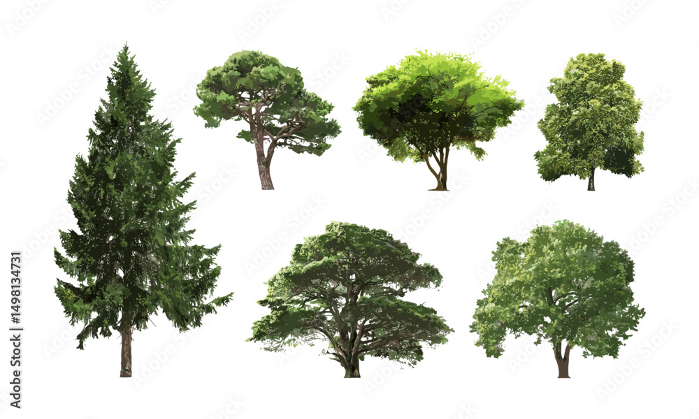Isolated tree with white backdrop, high definition collection, foliage details, plant structure, vector illustration, forest art element, natural tree shape, transparent background.