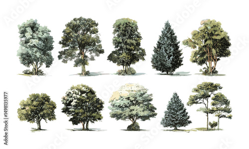 Big tree isolated on white, vector illustration, large oak silhouette, forest nature icon, single plant graphic, ecological design, green environment, serene outdoor imagery.