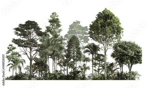 Rainforest trees jungle 3d render vector illustration, tropical wilderness, lush tree shapes, exotic flora, dense greenery, natural forest environment, botanical texture design.