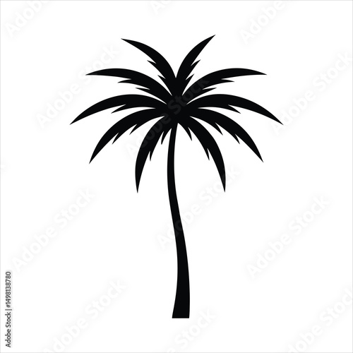 palm tree silhouette