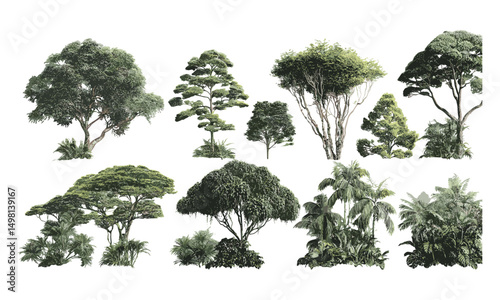 Jungle rain forest trees 3d render vector illustration, tropical foliage design, exotic wildlife habitat, nature scenery, lush greenery, botanical elements, tropical ecosystem.