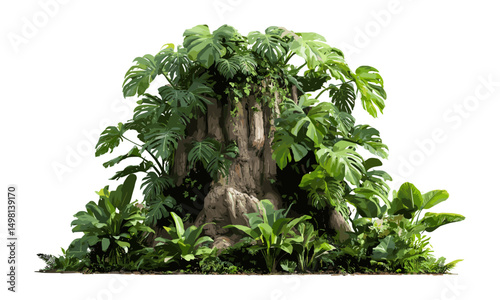 Jungle tree trunk with climbing Monstera deliciosa, bird’s nest fern, philodendron, forest orchid, tropical foliage plants isolated on white background vector illustration, rainforest greenery.