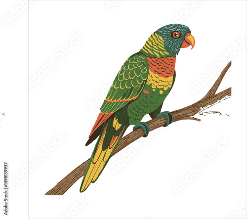 Parrot vector.
