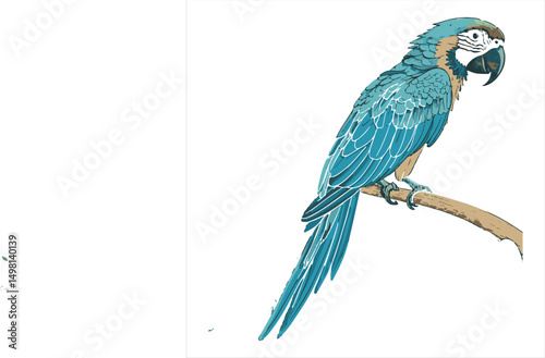 Parrot vector.