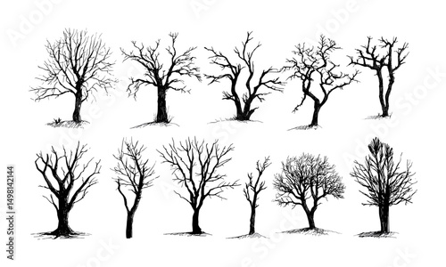 Silhouettes of naked trees set, hand drawn isolated vector illustration, bare branch outlines, forest contour drawings, wilderness seasonal art, autumn tree line clipart, cutout style.