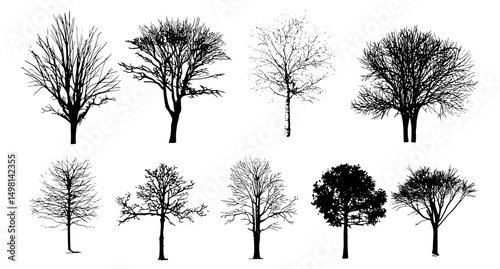 Hand drawn naked trees silhouettes, isolated vector illustration, leafless forest outlines, bare branches clipart, autumn nature sketch, wilderness silhouette collection, cutout design.